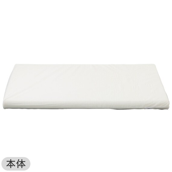 ロングフロアクッション 本体+専用カバー(PL001 BR) 3枚目画像