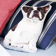 もちもち クッション検索結果 ニトリネット 公式 家具 インテリア通販