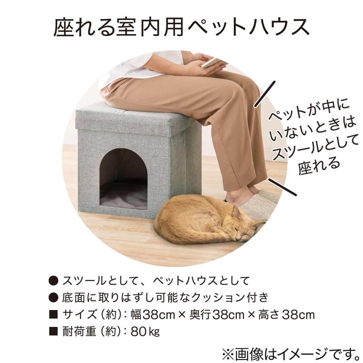 ペットスツール 通販