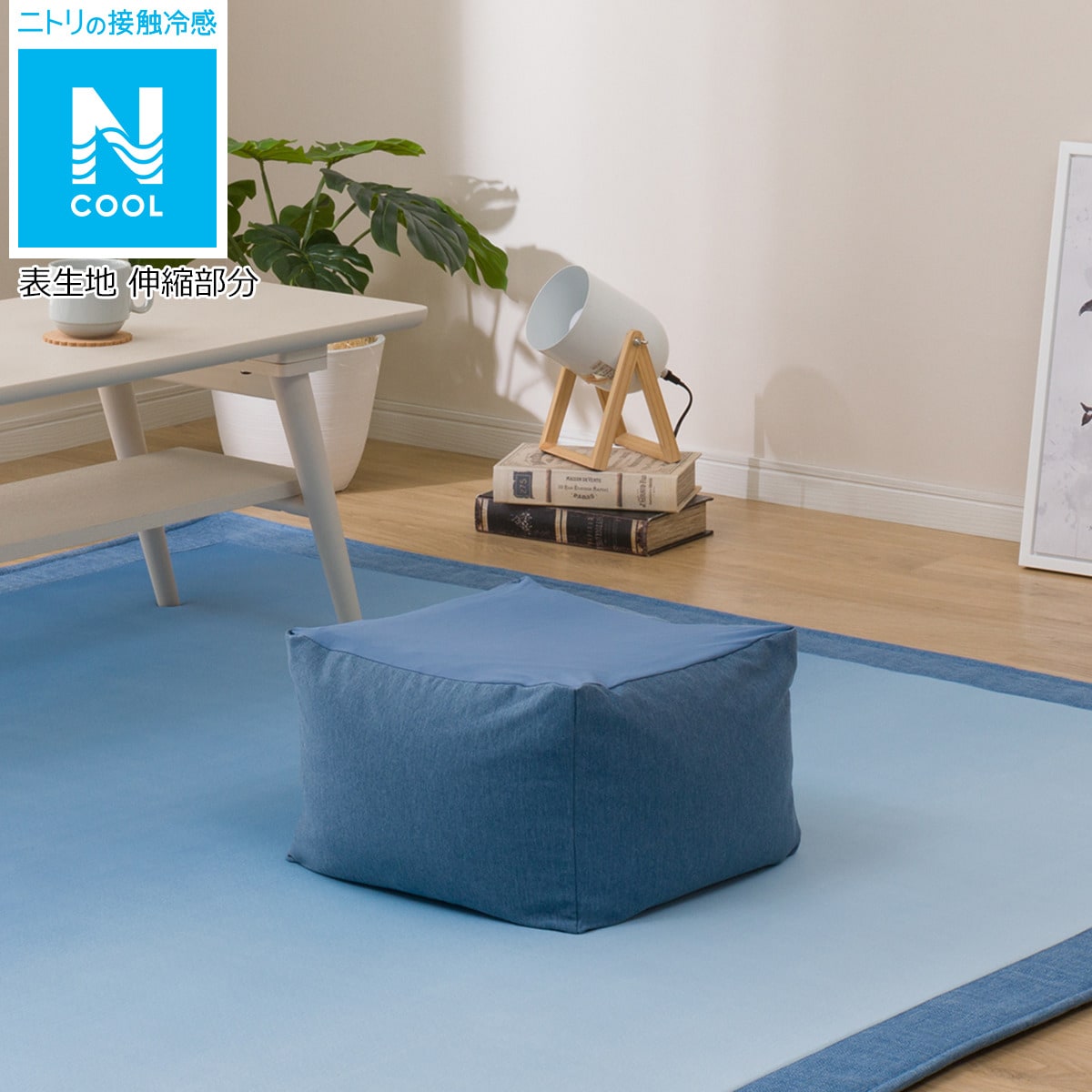 写真付きレビュー ニトリ ミニビーズクッション専用カバー Nクール I N の通販商品 口コミ情報 Roomclipショッピング 写真付きレビュー ニトリ ミニビーズクッション専用カバー Nクール I N の通販商品 口コミ情報 Roomclipショッピング