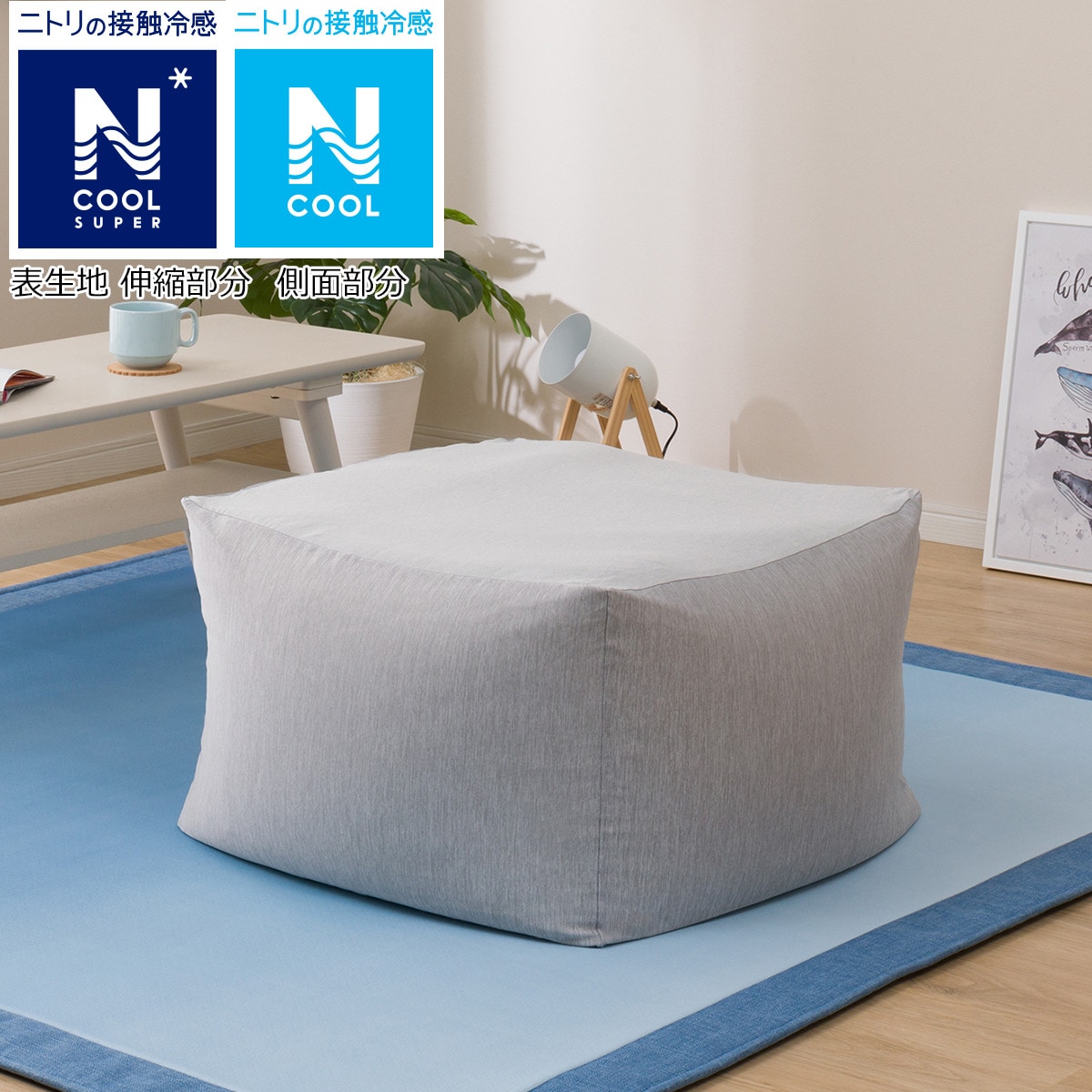 ニトリ ビーズソファカバー 大サイズ専用カバー Nクールspi N のレビュー 口コミとして参考になる投稿6枚 Roomclip ルームクリップ ニトリ ビーズソファカバー 大サイズ専用カバー Nクールspi N のレビュー 口コミとして参考になる投稿6枚 Roomclip ルームクリップ