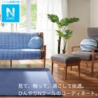 シートクッション(Nクールジオ i-n) 11枚目画像