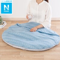 入れるフロアクッション(Nクール ジオ n-s)