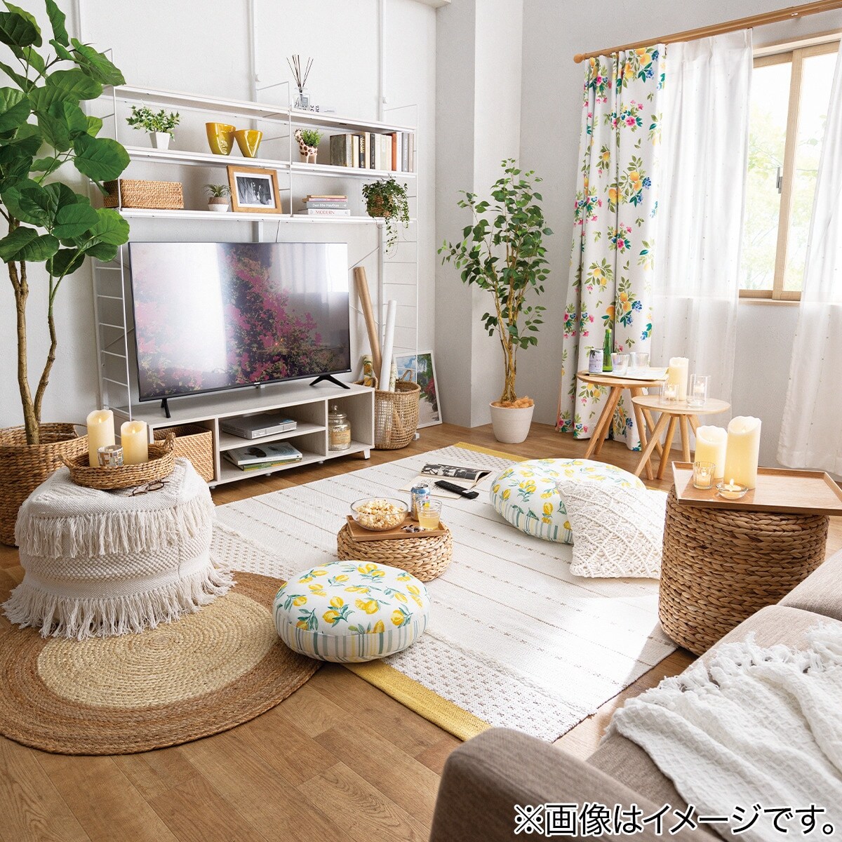 モチモチクッション 60r Nクール レモン N S 通販 ニトリネット 公式 家具 インテリア通販 モチモチクッション 60r Nクール レモン N S 通販 ニトリネット 公式 家具 インテリア通販