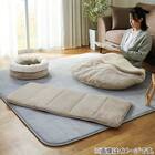 ごろ寝クッション(RB2202) 11枚目画像