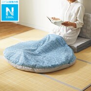 入れるクッション(Nクール GM BL S)