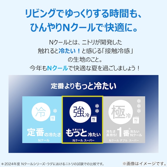 大判長座布団(NクールSP NV S) 11枚目画像