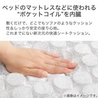 ポケットコイル内蔵シートクッション(Nコイル BK) 22枚目画像