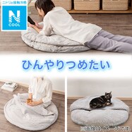 入れるクッション(Nクール GA2401 GY)