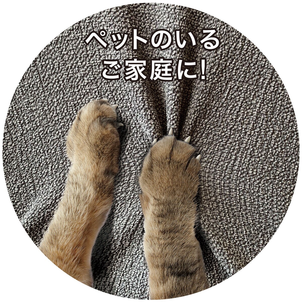 座椅子／チェア兼用ストレッチカバー(レジスト2 GY)通販 | ニトリネット【公式】 家具・インテリア通販