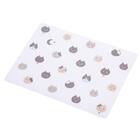 ランチョンマット(ネコ JJ03) 1枚目画像