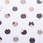 ランチョンマット(ネコ JJ03) 5枚目画像