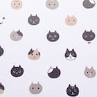 ランチョンマット(ネコ JJ03) 5枚目画像