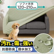 ソファ 可愛い ニトリネット 公式 家具 インテリア通販 ソファ 可愛い ニトリネット 公式 家具 インテリア通販