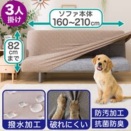 ソファー ベッド かわいい ニトリネット 公式 家具 インテリア通販