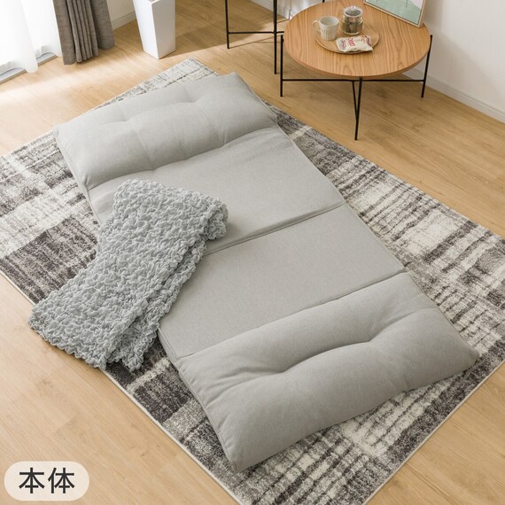 カジュアルソファ(CS-N02KID GY)+カバー(FT03 プレーン BR) 2点セット 19枚目画像