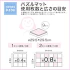 Nパズルマット9枚 ふち付き(ST01-N 29.5×29.5cm) 6枚目画像
