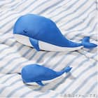 ひんやりぬいぐるみ クジラ L(Nクールクジラ L FA01 C-G) 13枚目画像