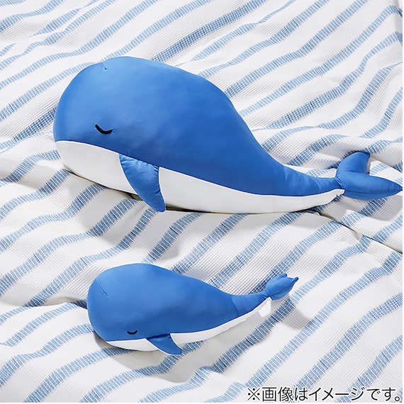 ひんやりぬいぐるみ クジラ L(Nクールクジラ L FA01 C-G) 13枚目画像