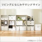 収納ケース ソフトNインボックス クォーター ピンク 19枚目画像