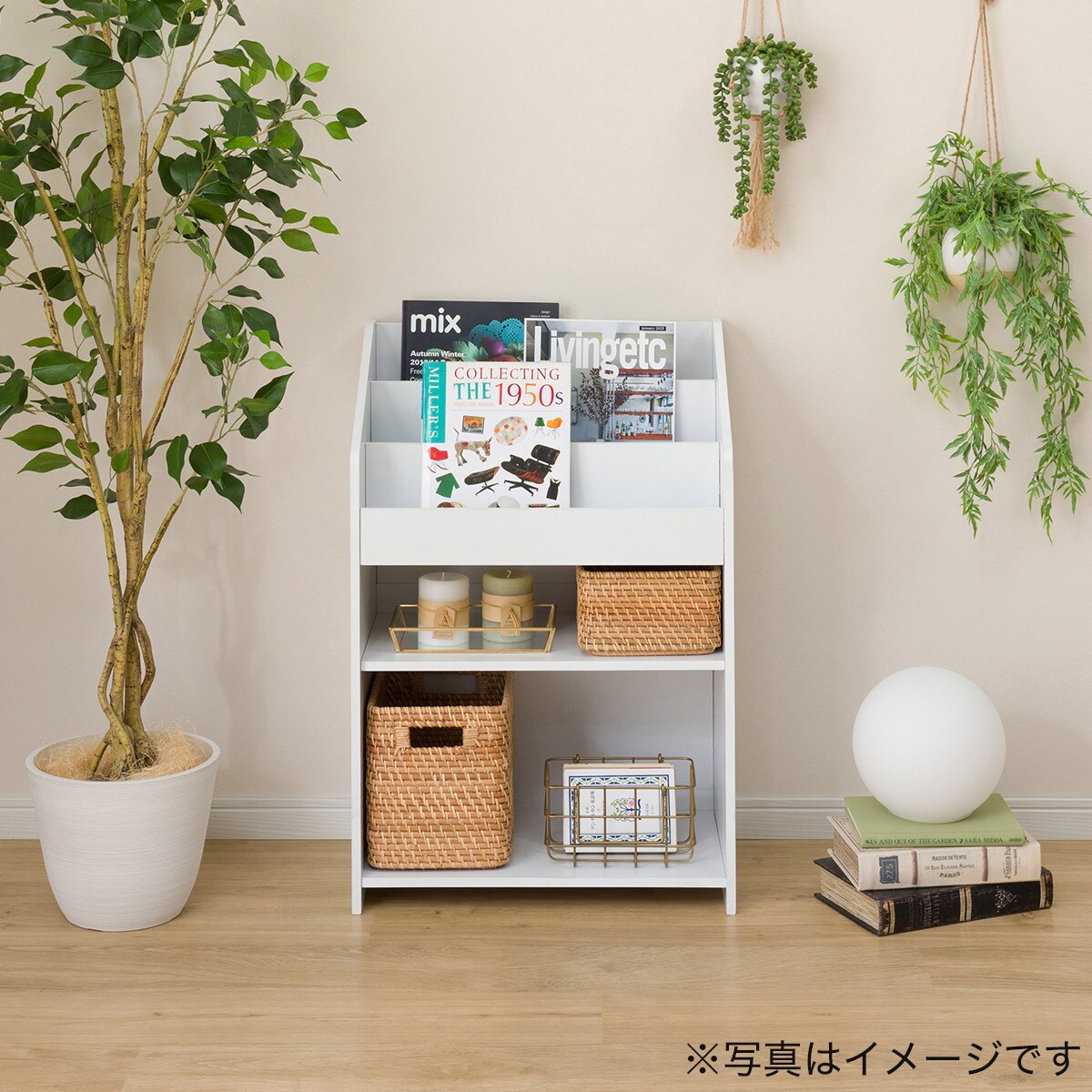 絵本ラック ライン通販 ニトリネット 公式 家具 インテリア通販 絵本ラック ライン通販 ニトリネット 公式 家具 インテリア通販