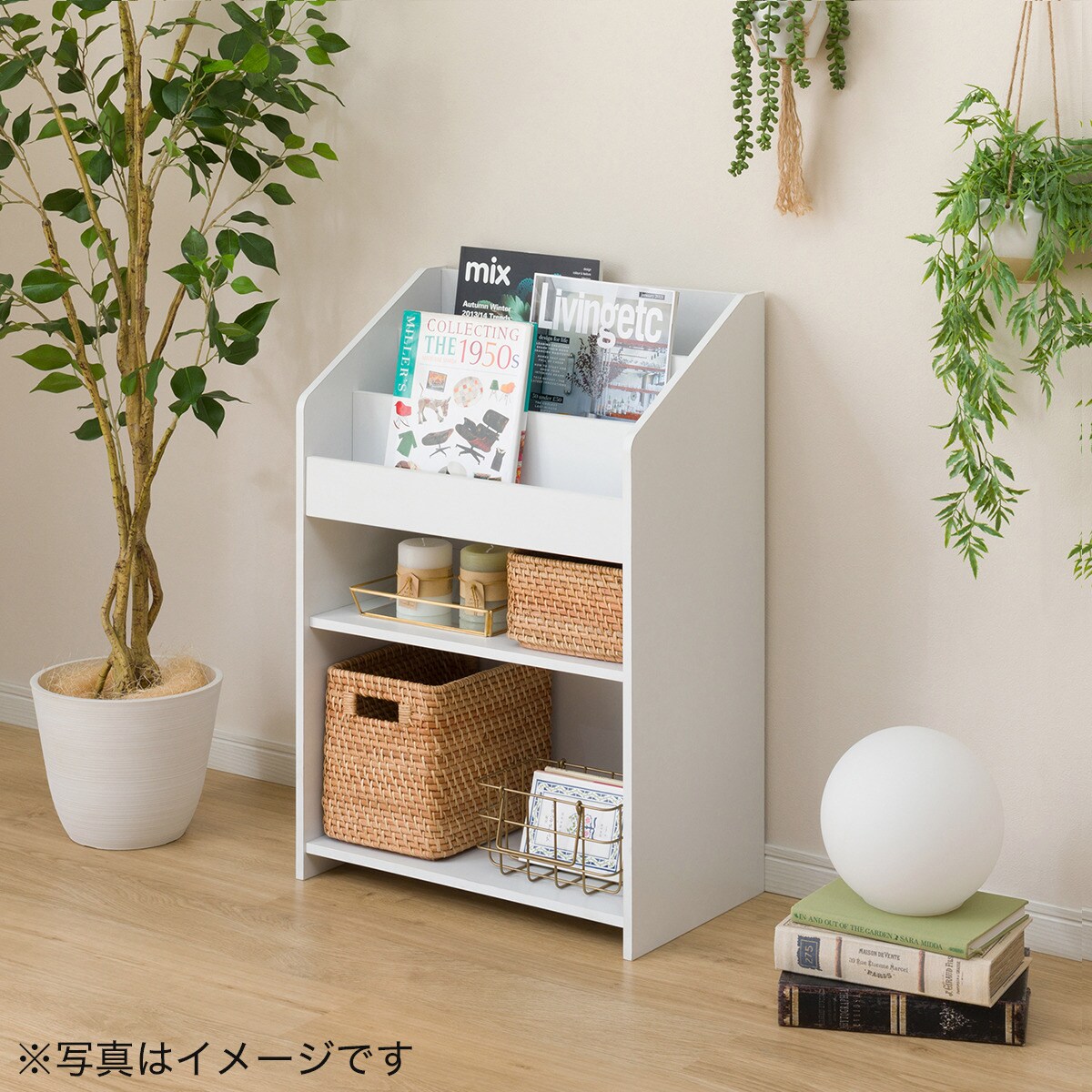 絵本ラック ライン通販 ニトリネット 公式 家具 インテリア通販 絵本ラック ライン通販 ニトリネット 公式 家具 インテリア通販