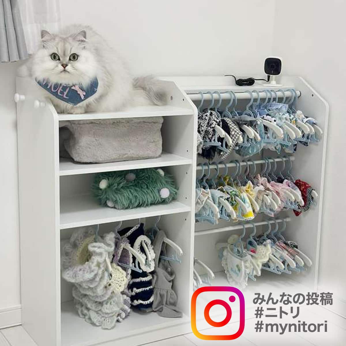 キッズハンガーラック(セルフル ホワイト) | ニトリネット【公式