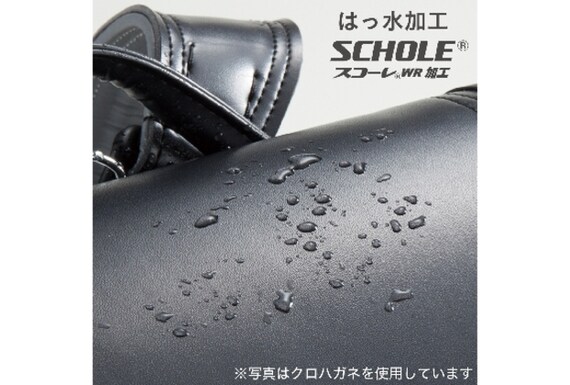 ﾗﾝﾄﾞｾﾙ WPGKBJ ﾏﾛﾝ | ニトリネット【公式】 家具・インテリア通販