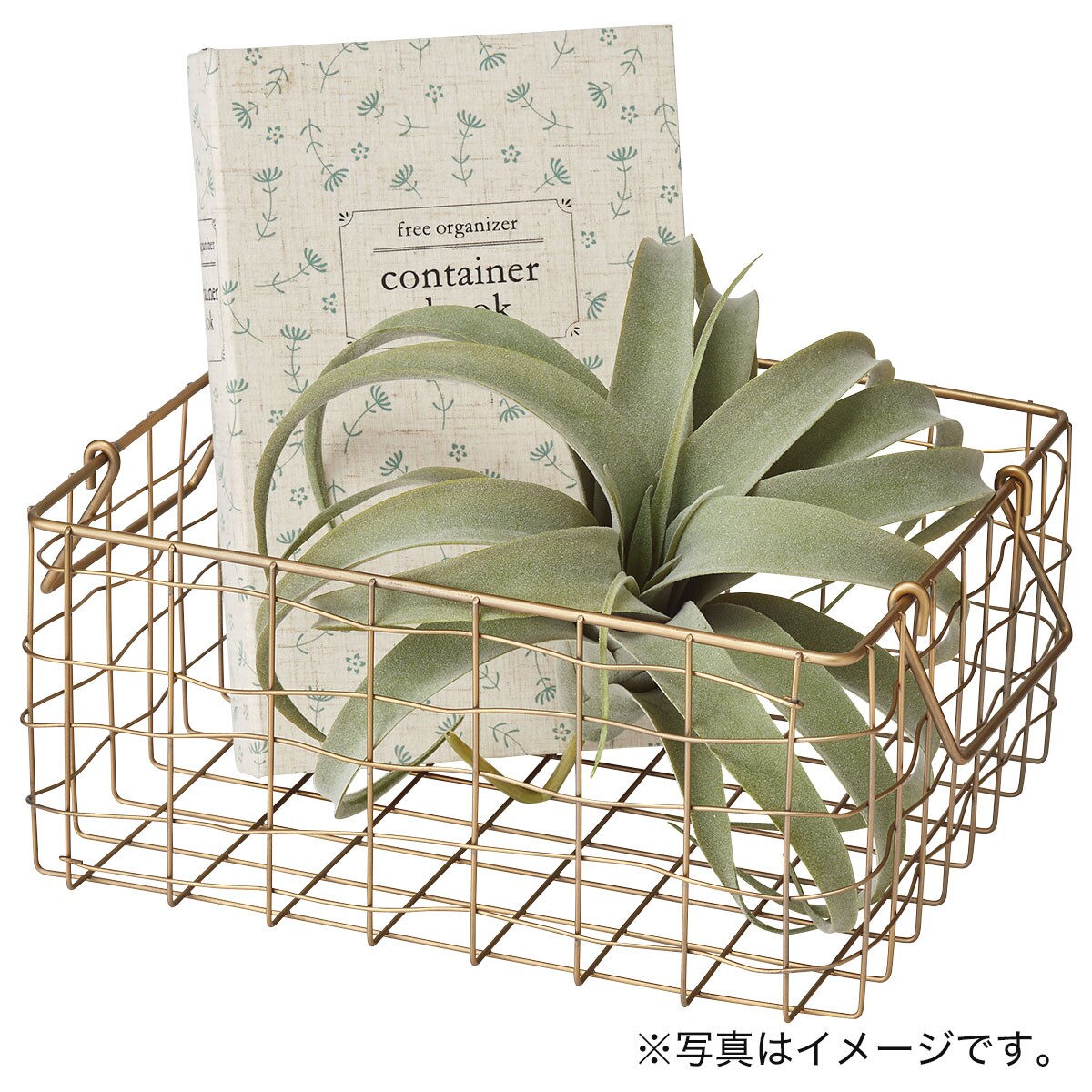 スチールバスケット ネフェルL(GO)通販 | ニトリネット【公式】 家具・インテリア通販