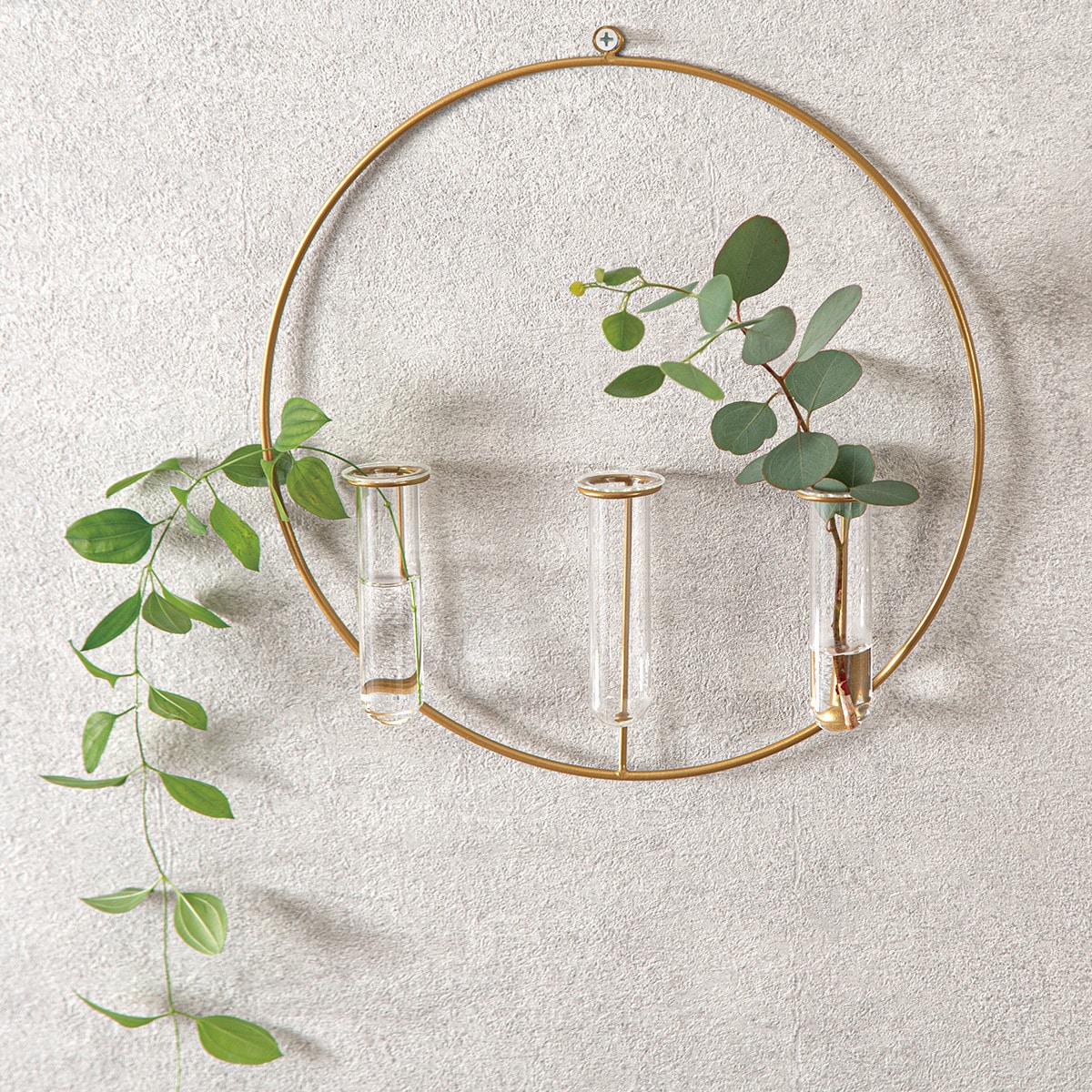 フラワー ラック サークルテストチューブ 通販 ニトリネット 公式 家具 インテリア通販 フラワー ラック サークルテストチューブ 通販 ニトリネット 公式 家具 インテリア通販