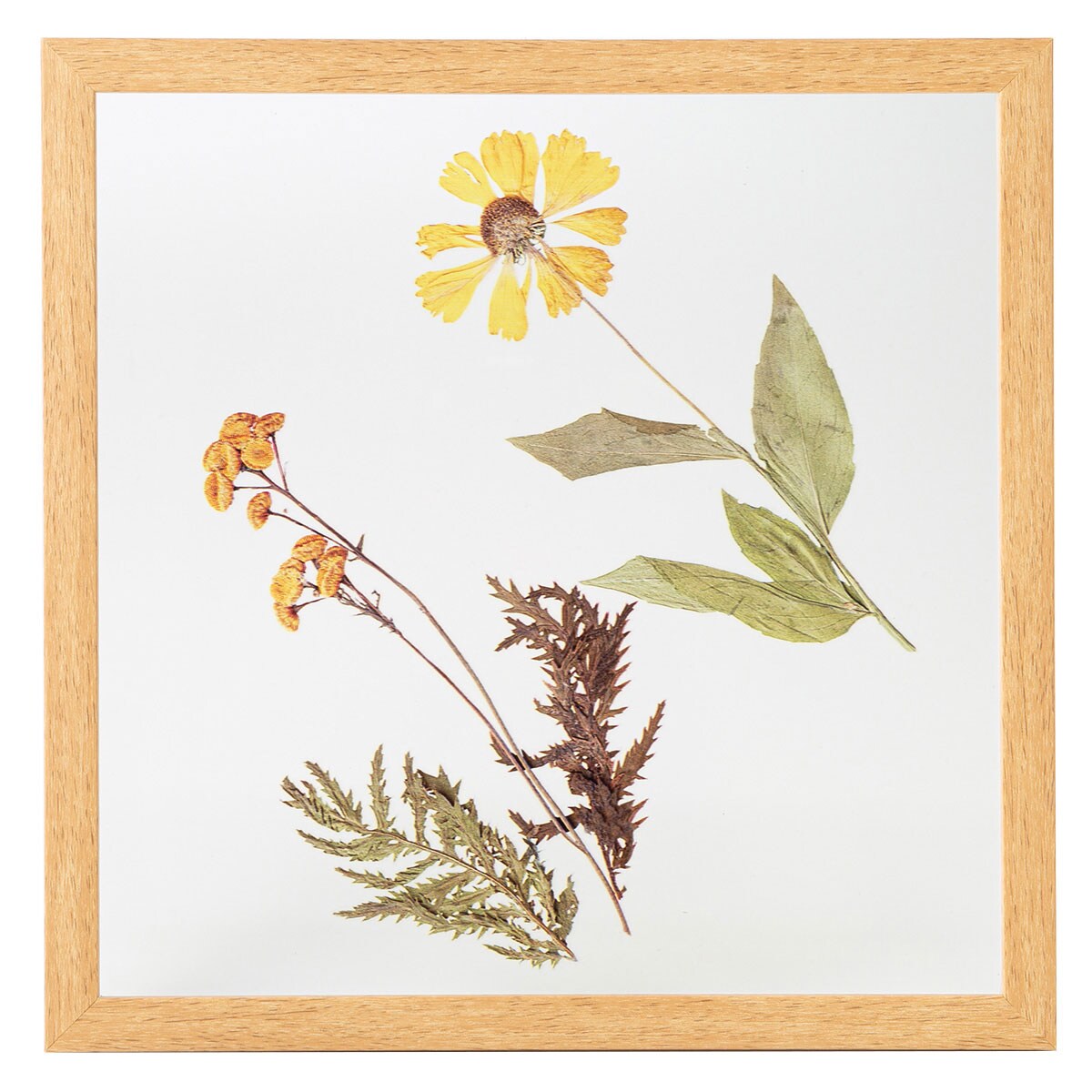 押し花風ポスター シビルカye通販 ニトリネット 公式 家具 インテリア通販