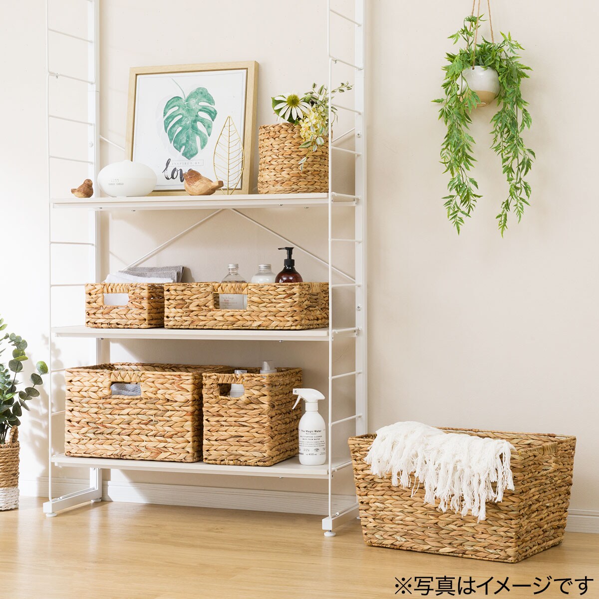 バスケット ムスカ ハーフ 通販 ニトリネット 公式 家具 インテリア通販
