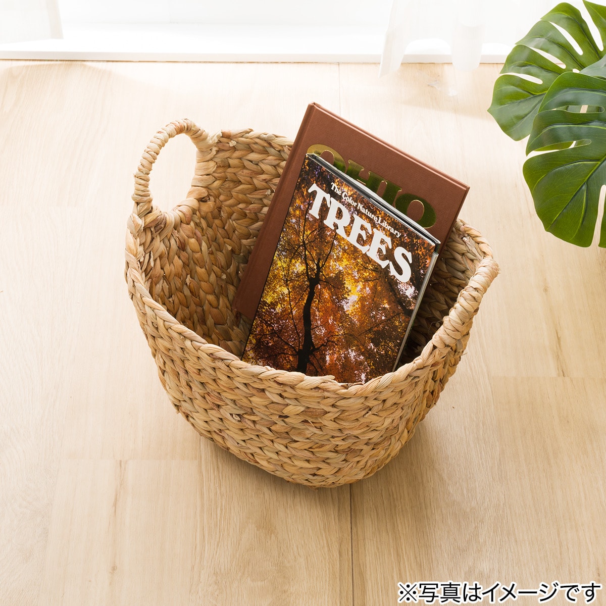 バスケット ムスカ リング通販 ニトリネット 公式 家具 インテリア通販 バスケット ムスカ リング通販 ニトリネット 公式 家具 インテリア通販