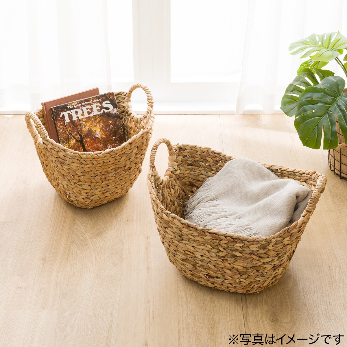 バスケット ムスカ リング通販 | ニトリネット【公式】 家具・インテリア通販