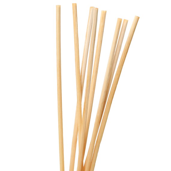 アロマディフューザー(フォレスタ L サンダルウッド＆ホワイトティー 400ml) 4枚目画像