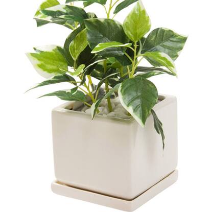 皿付プランター アダット通販 ニトリネット 公式 家具 インテリア通販