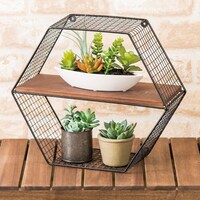 プランター 植木鉢 可愛いの検索結果 ニトリネット 公式 家具 インテリア通販