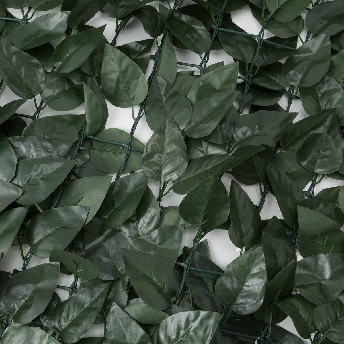 なめらかな ブレンド より多い グリーン フェンス ニトリ Run Line Jp なめらかな ブレンド より多い グリーン フェンス ニトリ Run Line Jp