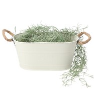 プランター 植木鉢 おしゃれ ニトリネット 公式 家具 インテリア通販