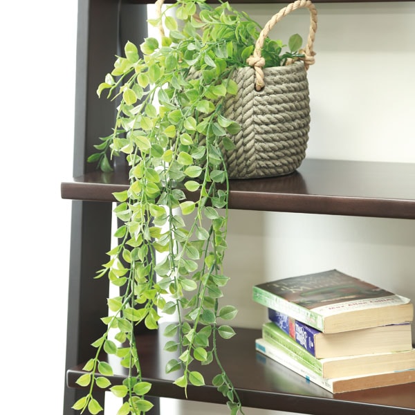 ハンギンググリーン パンドル通販 ニトリネット 公式 家具 インテリア通販