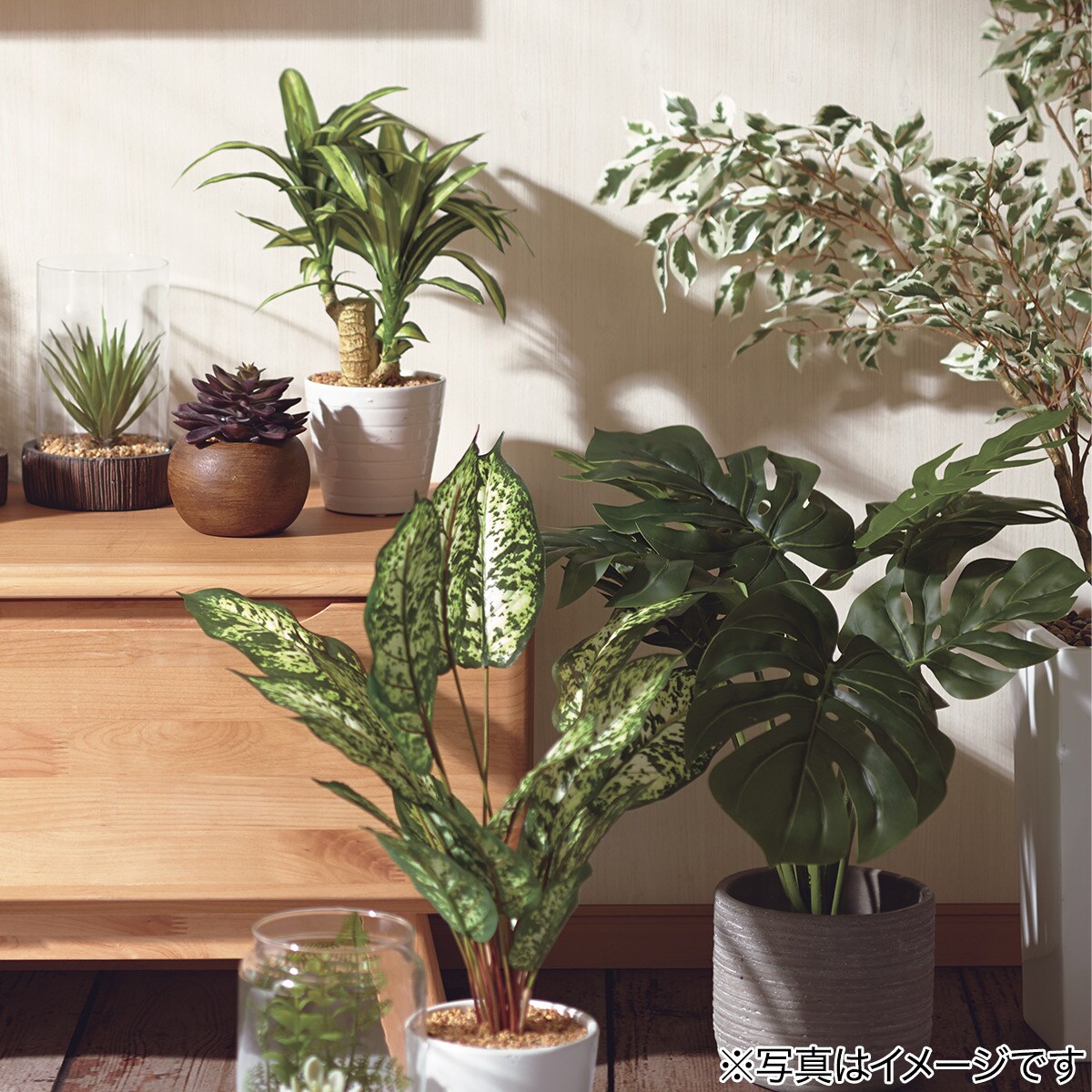 75%OFF!】 ドラセナ Ｍ F265-PU127B 55NT フェイクグリーン インテリアグリーン 造花 観葉植物 ニトリ