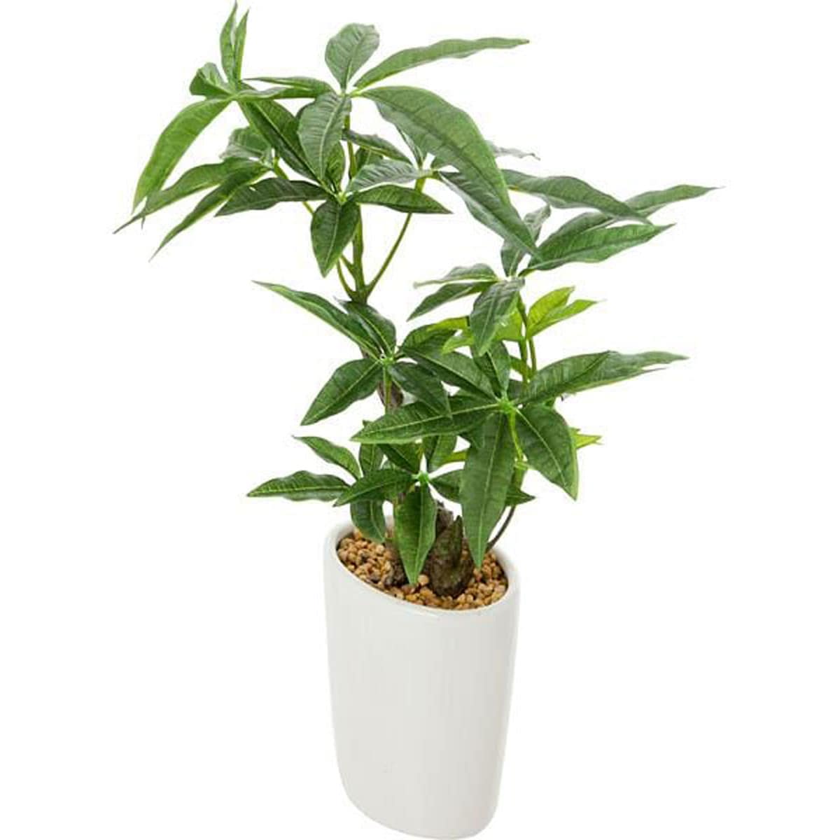 パキラ m F355 Pu375 nt 通販 ニトリネット 公式 家具 インテリア通販 パキラ m F355 Pu375 nt 通販 ニトリネット 公式 家具 インテリア通販