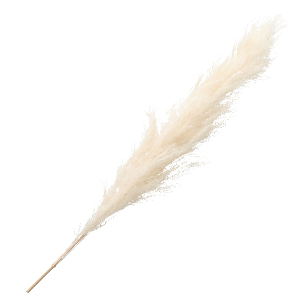 造花 アートフラワー通販 ニトリネット 公式 家具 インテリア通販 造花 アートフラワー通販 ニトリネット 公式 家具 インテリア通販