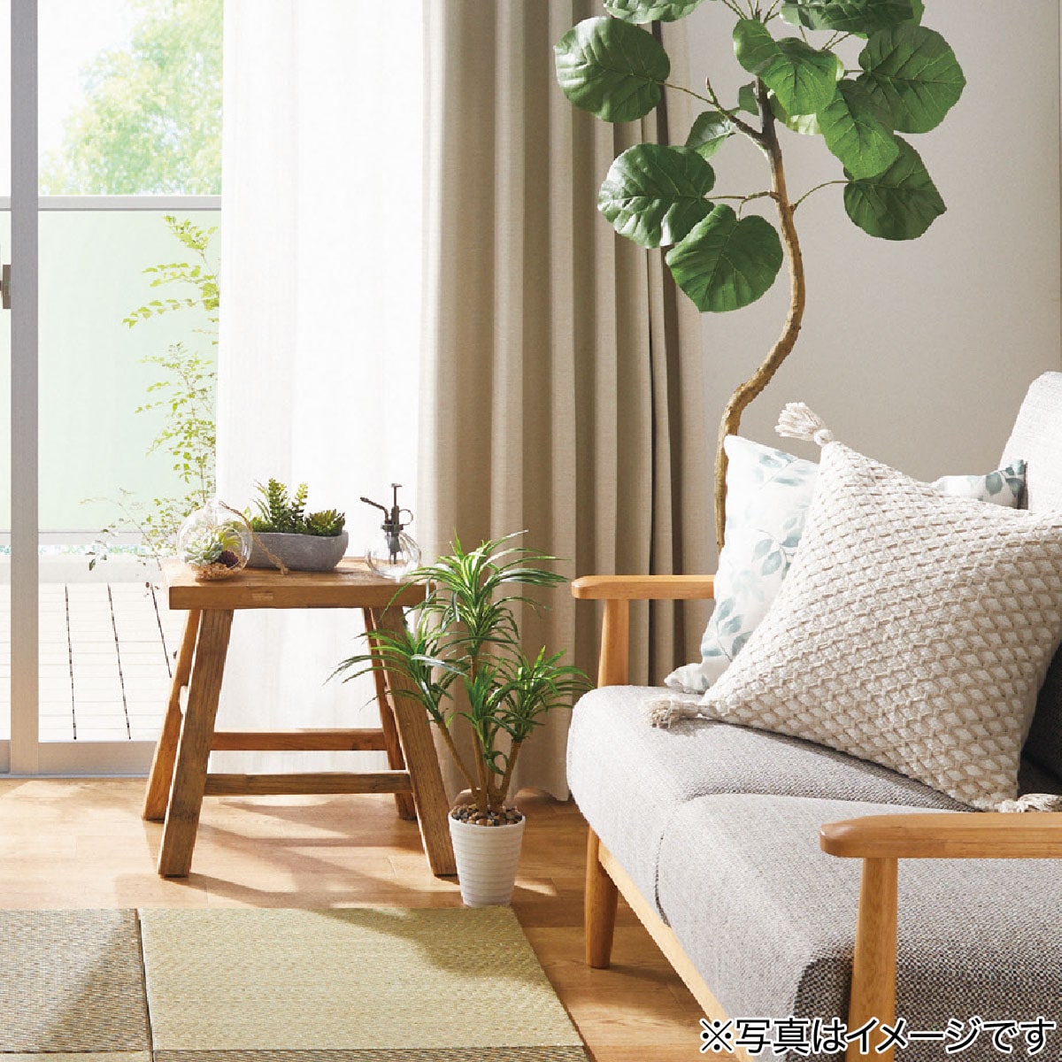 フェイクグリーン(セラミックポット ドラセナ 57cm F189-PU394/118