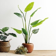 フェイクグリーン(トラベラーズパーム 130cm OS1105)