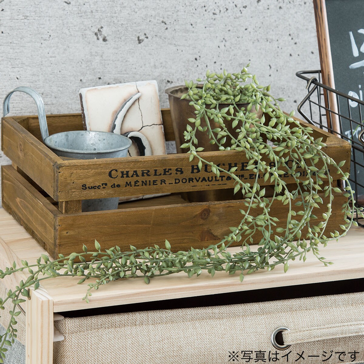 ハンギング アマランサス2通販 ニトリネット 公式 家具 インテリア通販