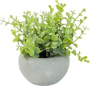 フェイクグリーン セメントポット(オレガノ HA45502)