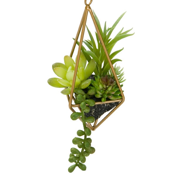 フェイクグリーン ハンギングテラリウム スチールフレーム 多肉 Ha 通販 ニトリネット 公式 家具 インテリア通販