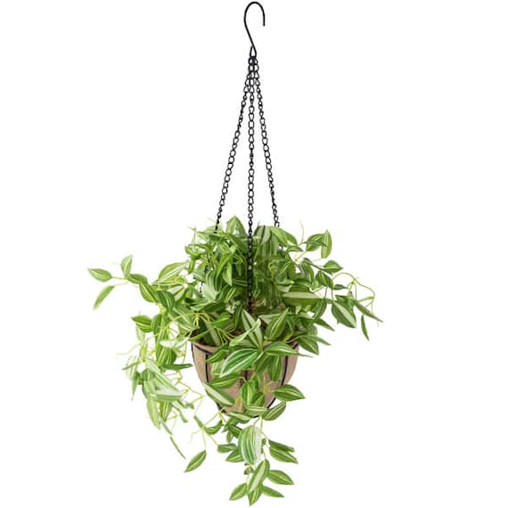 フェイクグリーン(ポトス ハンギングワイヤーバスケット) 1枚目画像