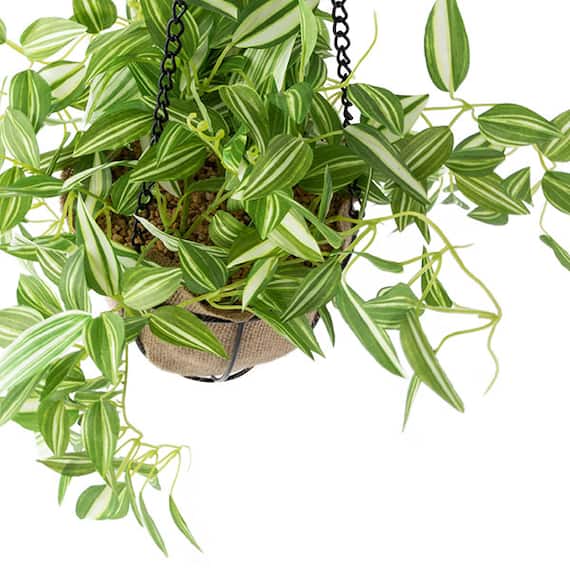フェイクグリーン(ポトス ハンギングワイヤーバスケット) 7枚目画像